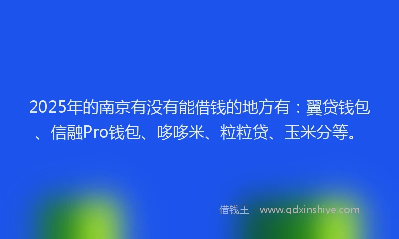 2025年的南京有没有能借钱的地方有：翼贷钱包、信融Pro钱包、哆哆米、粒粒贷、玉米分等。