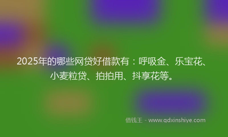 2025年的哪些网贷好借款有：呼吸金、乐宝花、小麦粒贷、拍拍用、抖享花等。
