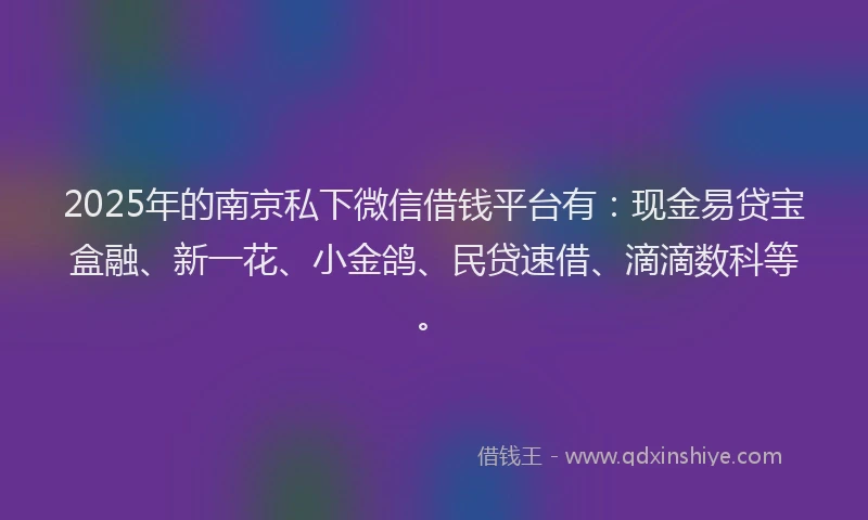 2025年的南京私下微信借钱平台有：现金易贷宝盒融、新一花、小金鸽、民贷速借、滴滴数科等。