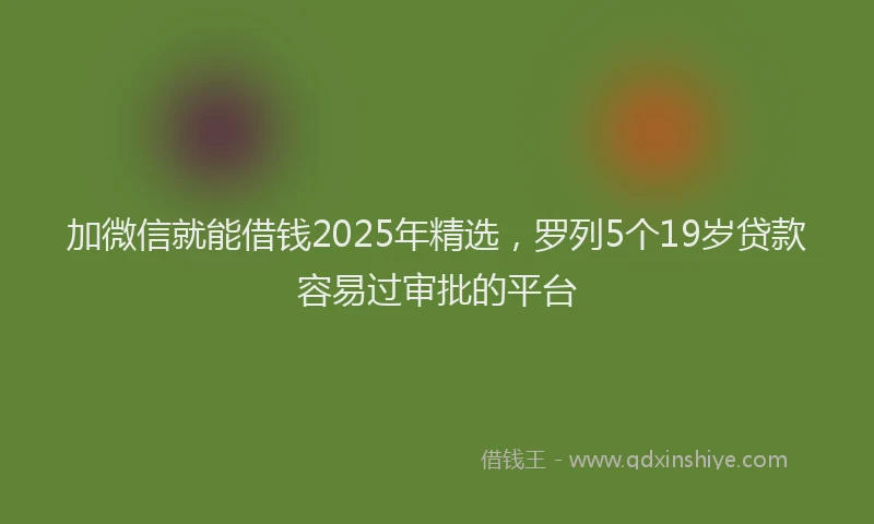 加微信就能借钱2025年精选，罗列5个19岁贷款容易过审批的平台