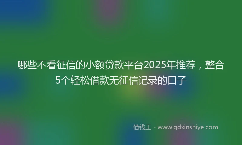 哪些不看征信的小额贷款平台2025年推荐，整合5个轻松借款无征信记录的口子