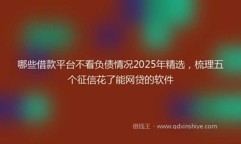 哪些借款平台不看负债情况2025年精选，梳理五个征信花了能网贷的软件