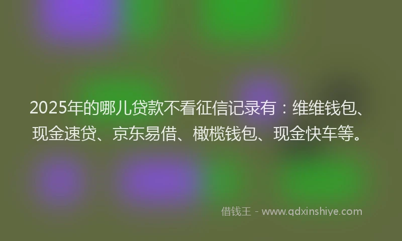 2025年的哪儿贷款不看征信记录有：维维钱包、现金速贷、京东易借、橄榄钱包、现金快车等。