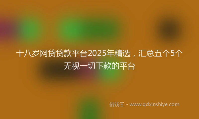 十八岁网贷贷款平台2025年精选，汇总五个5个无视一切下款的平台