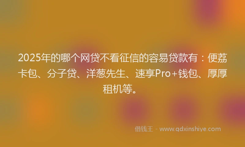 2025年的哪个网贷不看征信的容易贷款有：便荔卡包、分子贷、洋葱先生、速享Pro+钱包、厚厚租机等。