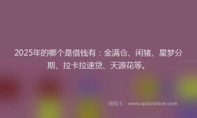 2025年的哪个是借钱有：金满仓、闲猪、星梦分期、拉卡拉速贷、天源花等。