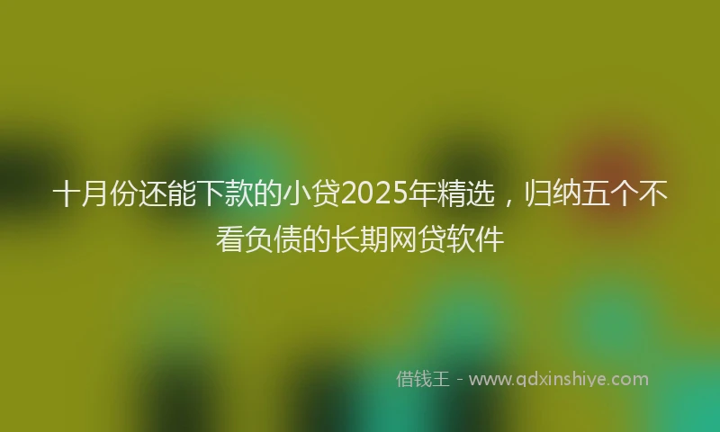 十月份还能下款的小贷2025年精选，归纳五个不看负债的长期网贷软件