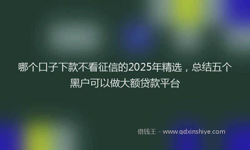 哪个口子下款不看征信的2025年精选，总结五个黑户可以做大额贷款平台