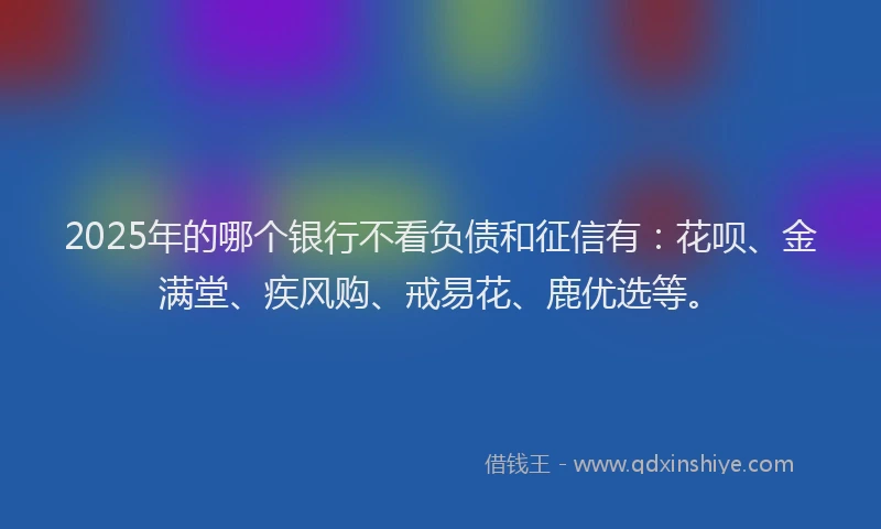 2025年的哪个银行不看负债和征信有：花呗、金满堂、疾风购、戒易花、鹿优选等。