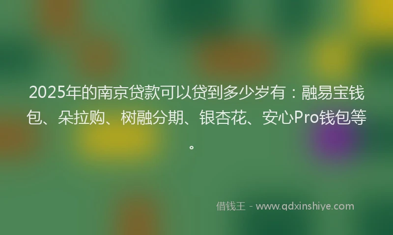 2025年的南京贷款可以贷到多少岁有：融易宝钱包、朵拉购、树融分期、银杏花、安心Pro钱包等。