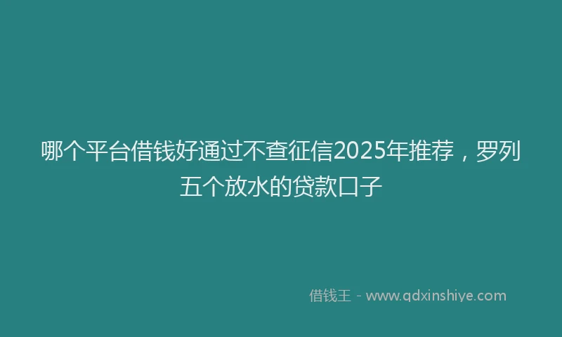 哪个平台借钱好通过不查征信2025年推荐，罗列五个放水的贷款口子