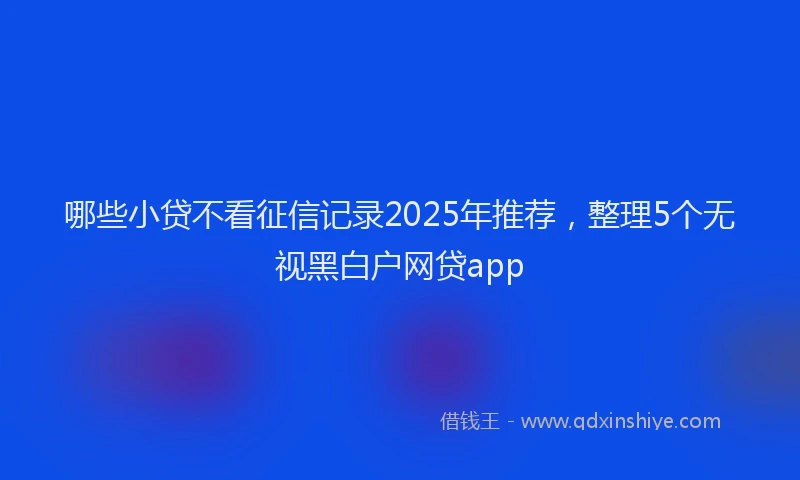 哪些小贷不看征信记录2025年推荐，整理5个无视黑白户网贷app