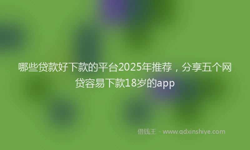 哪些贷款好下款的平台2025年推荐，分享五个网贷容易下款18岁的app