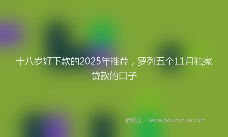 十八岁好下款的2025年推荐，罗列五个11月独家贷款的口子