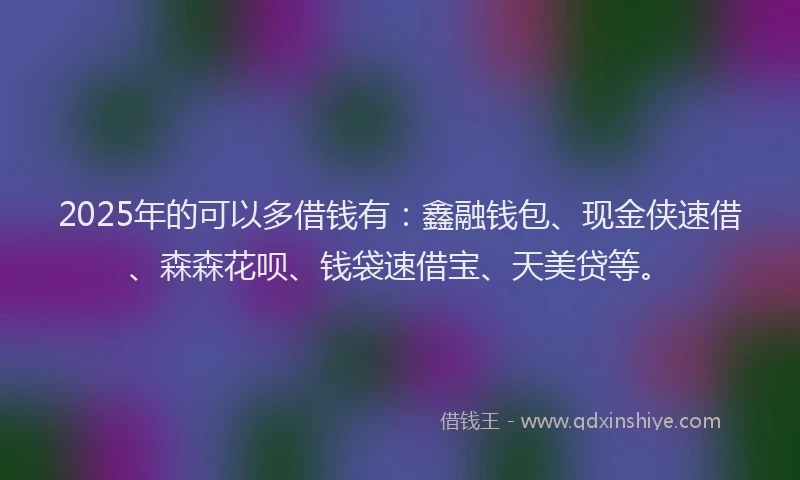 2025年的可以多借钱有：鑫融钱包、现金侠速借、森森花呗、钱袋速借宝、天美贷等。