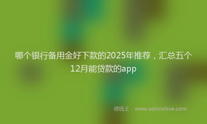 哪个银行备用金好下款的2025年推荐，汇总五个12月能贷款的app