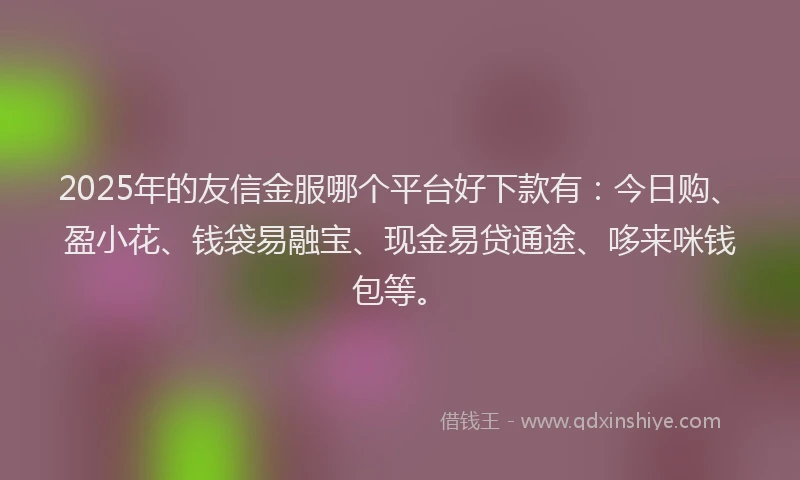 2025年的友信金服哪个平台好下款有：今日购、盈小花、钱袋易融宝、现金易贷通途、哆来咪钱包等。