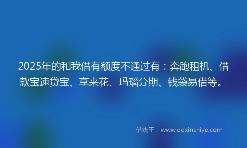 2025年的和我借有额度不通过有：奔跑租机、借款宝速贷宝、享来花、玛瑙分期、钱袋易借等。