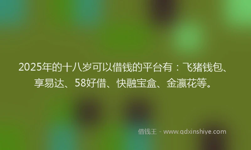 2025年的十八岁可以借钱的平台有：飞猪钱包、享易达、58好借、快融宝盒、金瀛花等。