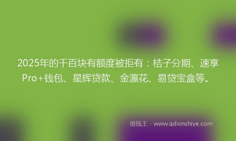 2025年的千百块有额度被拒有：桔子分期、速享Pro+钱包、星辉贷款、金瀛花、易贷宝盒等。