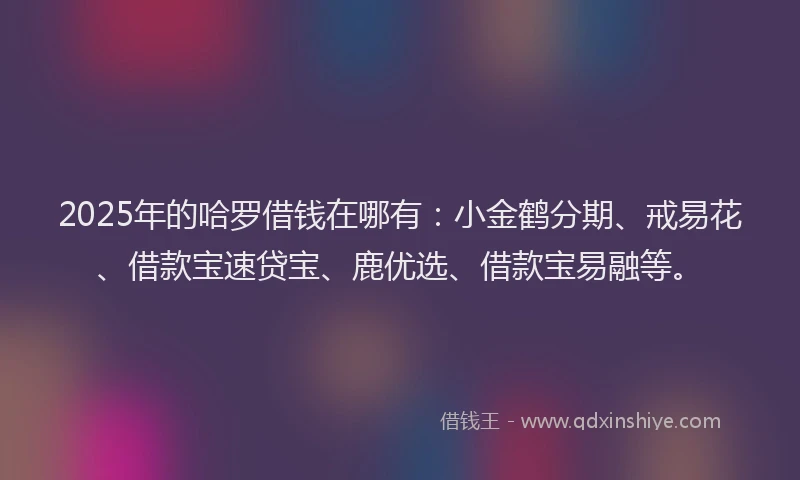 2025年的哈罗借钱在哪有：小金鹤分期、戒易花、借款宝速贷宝、鹿优选、借款宝易融等。