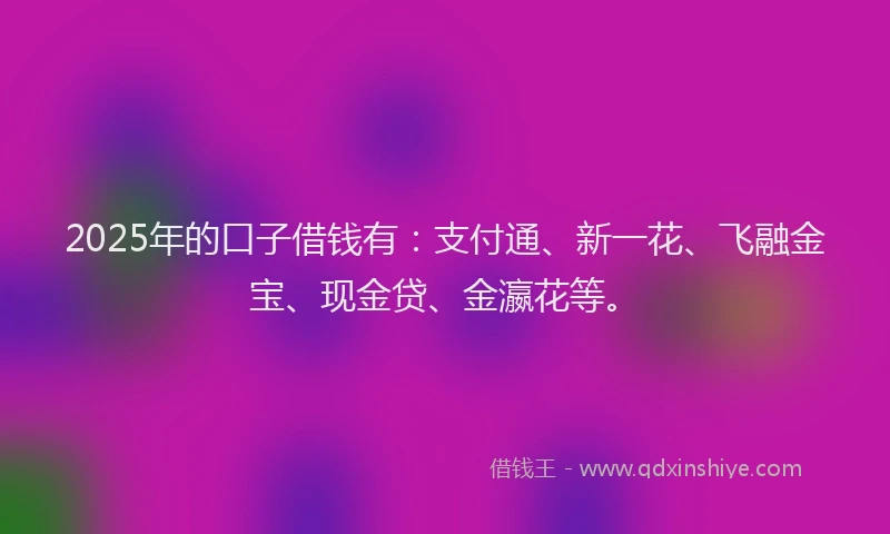 2025年的口子借钱有：支付通、新一花、飞融金宝、现金贷、金瀛花等。