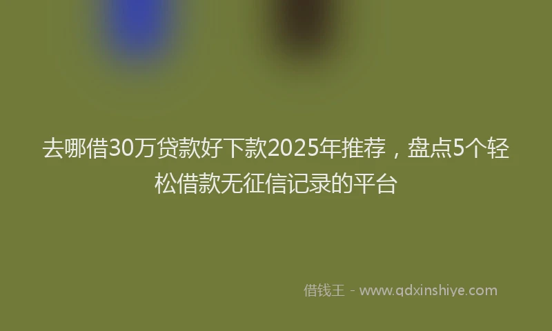 去哪借30万贷款好下款2025年推荐，盘点5个轻松借款无征信记录的平台