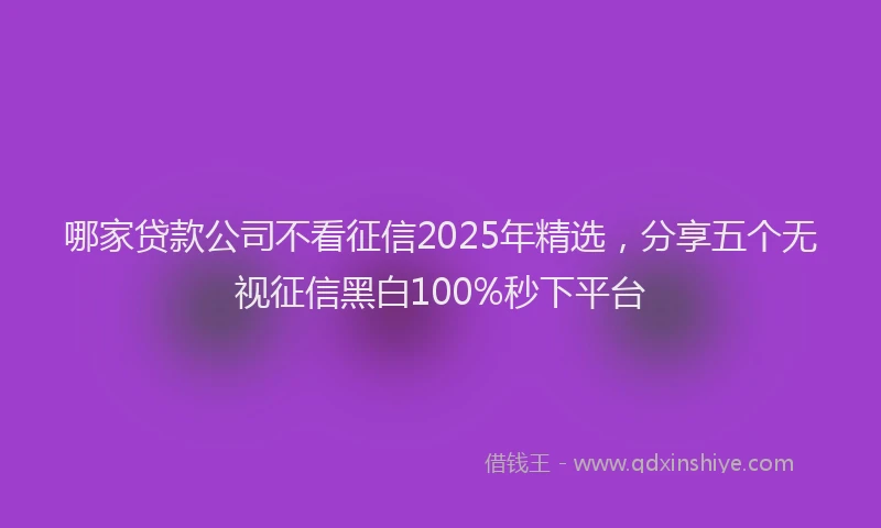 哪家贷款公司不看征信2025年精选，分享五个无视征信黑白100%秒下平台