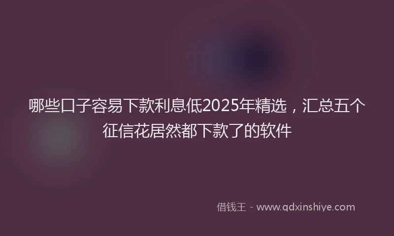 哪些口子容易下款利息低2025年精选，汇总五个征信花居然都下款了的软件