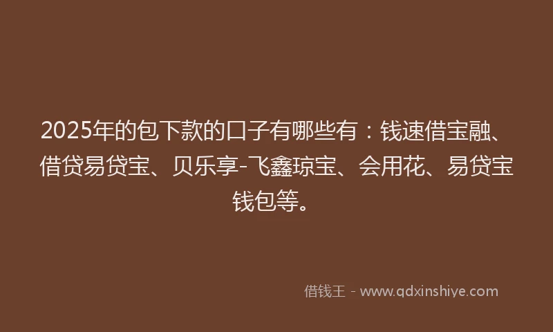 2025年的包下款的口子有哪些有：钱速借宝融、借贷易贷宝、贝乐享-飞鑫琼宝、会用花、易贷宝钱包等。