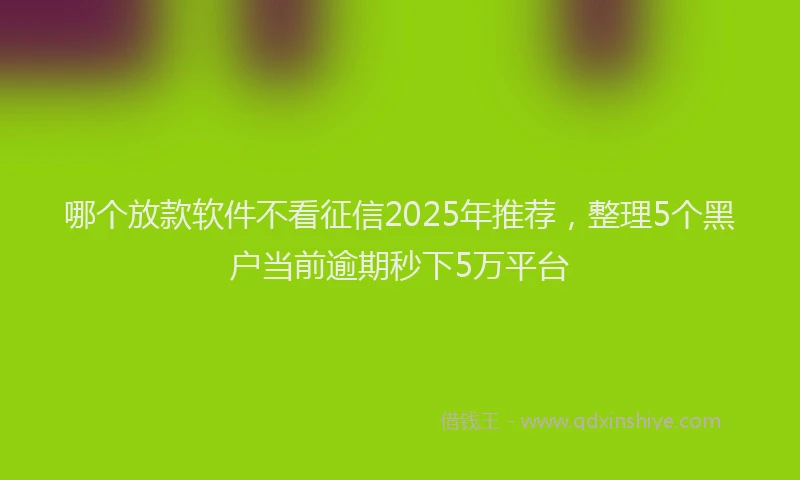 哪个放款软件不看征信2025年推荐，整理5个黑户当前逾期秒下5万平台