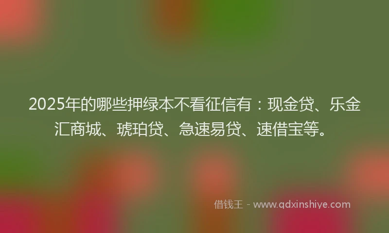 2025年的哪些押绿本不看征信有：现金贷、乐金汇商城、琥珀贷、急速易贷、速借宝等。