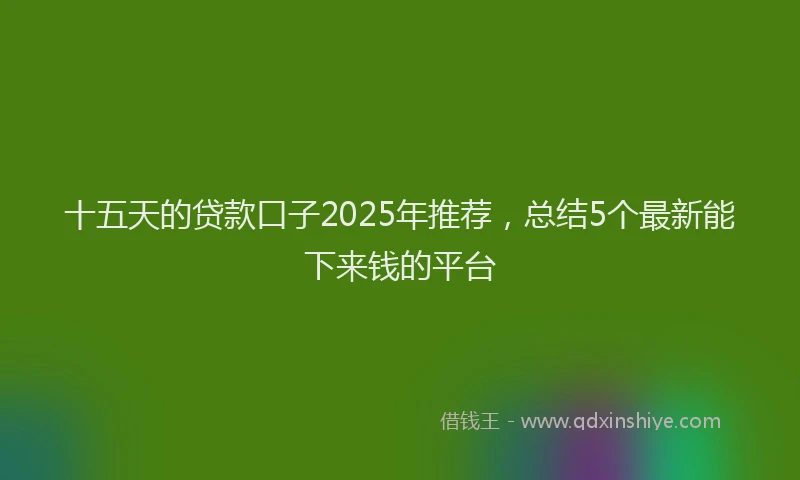 十五天的贷款口子2025年推荐，总结5个最新能下来钱的平台