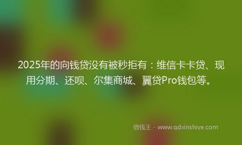 2025年的向钱贷没有被秒拒有：维信卡卡贷、现用分期、还呗、尔集商城、翼贷Pro钱包等。