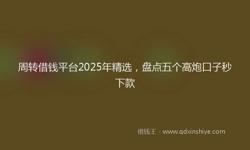 周转借钱平台2025年精选，盘点五个高炮口子秒下款