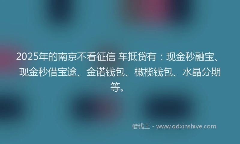 2025年的南京不看征信 车抵贷有：现金秒融宝、现金秒借宝途、金诺钱包、橄榄钱包、水晶分期等。