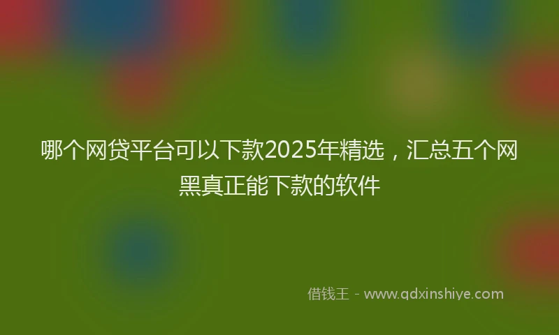 哪个网贷平台可以下款2025年精选，汇总五个网黑真正能下款的软件