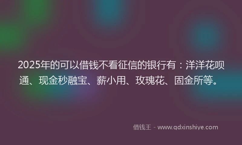 2025年的可以借钱不看征信的银行有：洋洋花呗通、现金秒融宝、薪小用、玫瑰花、固金所等。