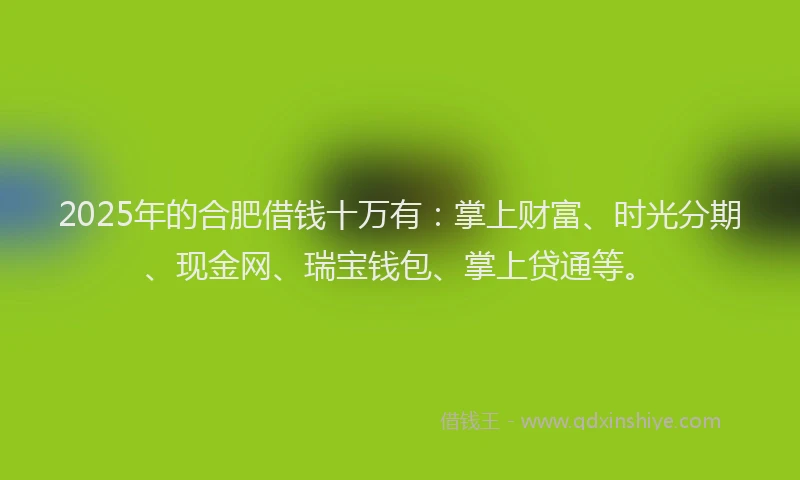 2025年的合肥借钱十万有：掌上财富、时光分期、现金网、瑞宝钱包、掌上贷通等。