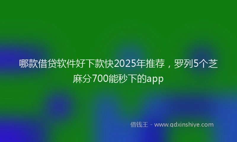 哪款借贷软件好下款快2025年推荐，罗列5个芝麻分700能秒下的app