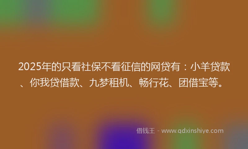 2025年的只看社保不看征信的网贷有：小羊贷款、你我贷借款、九梦租机、畅行花、团借宝等。