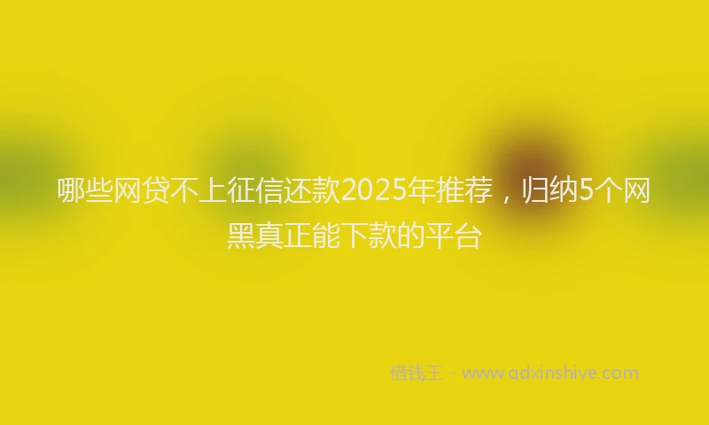 哪些网贷不上征信还款2025年推荐，归纳5个网黑真正能下款的平台