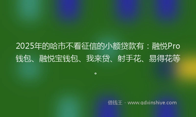 2025年的哈市不看征信的小额贷款有：融悦Pro钱包、融悦宝钱包、我来贷、射手花、易得花等。