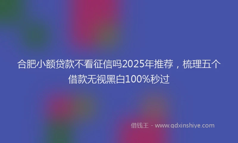 合肥小额贷款不看征信吗2025年推荐，梳理五个借款无视黑白100%秒过