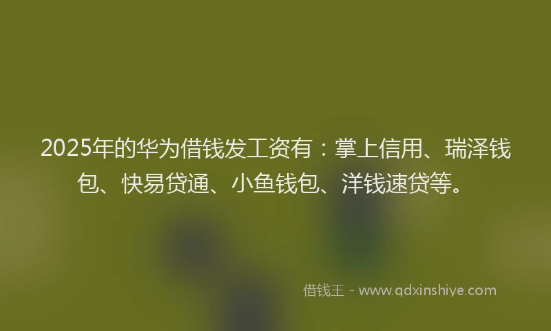 2025年的华为借钱发工资有：掌上信用、瑞泽钱包、快易贷通、小鱼钱包、洋钱速贷等。