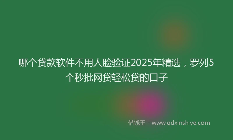 哪个贷款软件不用人脸验证2025年精选，罗列5个秒批网贷轻松贷的口子