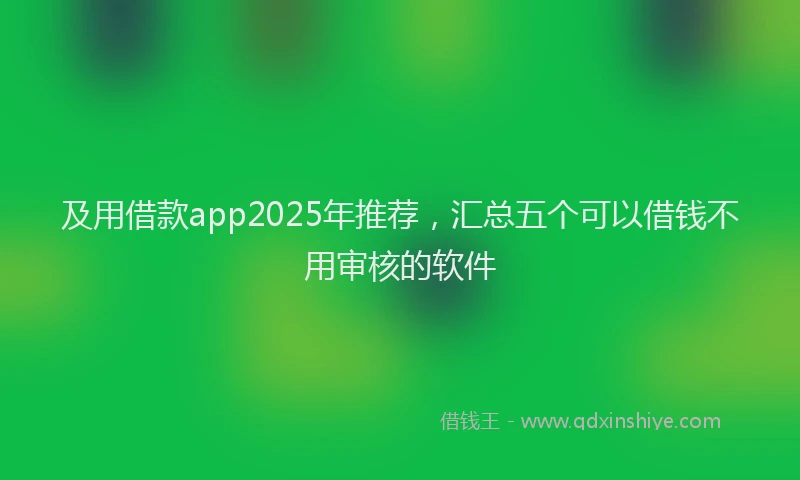 及用借款app2025年推荐，汇总五个可以借钱不用审核的软件