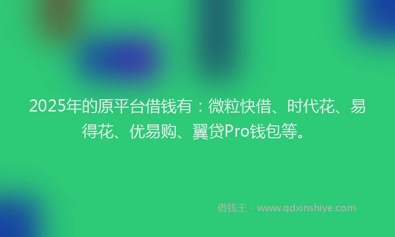 2025年的原平台借钱有：微粒快借、时代花、易得花、优易购、翼贷Pro钱包等。