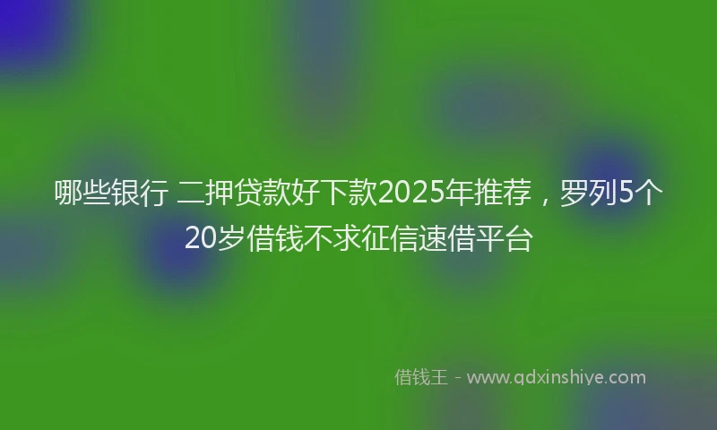 哪些银行 二押贷款好下款2025年推荐，罗列5个20岁借钱不求征信速借平台