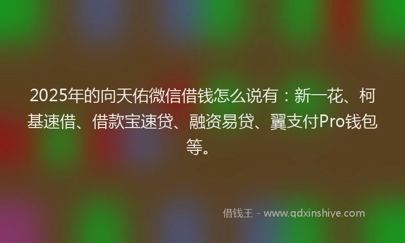 2025年的向天佑微信借钱怎么说有：新一花、柯基速借、借款宝速贷、融资易贷、翼支付Pro钱包等。